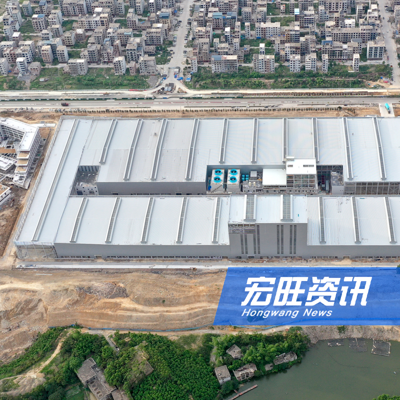 廣西壯族自治區(qū)黨委委員、自治區(qū)政府副主席胡帆一行蒞臨廣西宏旺調(diào)研